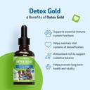 pet-wellbeing-detox-gold-for-dogs---gent-4.jpg