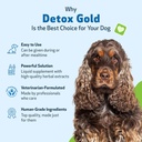 pet-wellbeing-detox-gold-for-dogs---gent-5.jpg