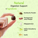 natures-key-kombucha-gummies-for-digesti-2.jpg