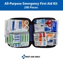 first-aid-only-299-piece-all-purpose-eme-2.jpg