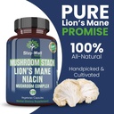 lion-mane-mushroom-supplement-capsules-w-6.jpg