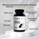 sunfood-superfoods-shilajit-capsules---p-4.jpg