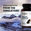 sunfood-superfoods-shilajit-capsules---p-6.jpg