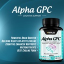 alpha-gpc-choline-supplement-600mg-99-hi-5.jpg