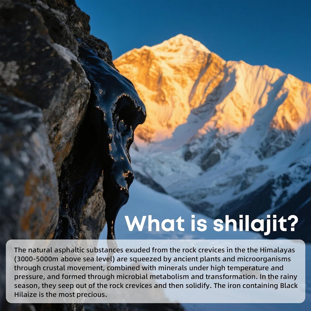 himalayan-pure-shilajit-sticks-with-orga-4.jpg