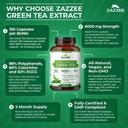 zazzee-extra-strength-green-tea-201-extr-5.jpg