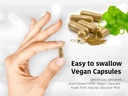 dr-wakdes-ushira-capsules-vertiver-verti-3.jpg