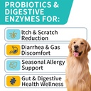 probiotics-for-dogs-improve-itchy-skin-i-2.jpg