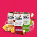 reneva-collagen-protein-drink---10g-coll-5.jpg