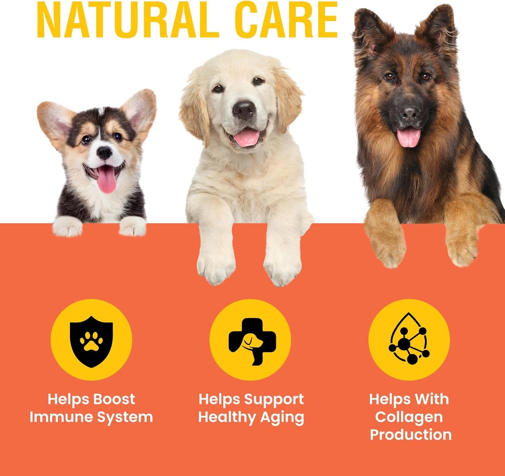 vitamin-c-for-dogs-helps-support-immune--2.jpg