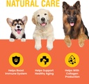 vitamin-c-for-dogs-helps-support-immune--2.jpg