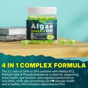 algae-omega-3-gummies-1000mg-plant-based-6.jpg