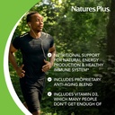 naturesplus-source-of-life-green-red-mul-4.jpg