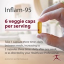 inflam-95---ginger-root-extract-2000-mg--3.jpg