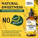 wild-organic-mullein-tincture---lung-cle-6.jpg