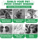 liver-support-for-dogs-liver-and-kidney--3.jpg