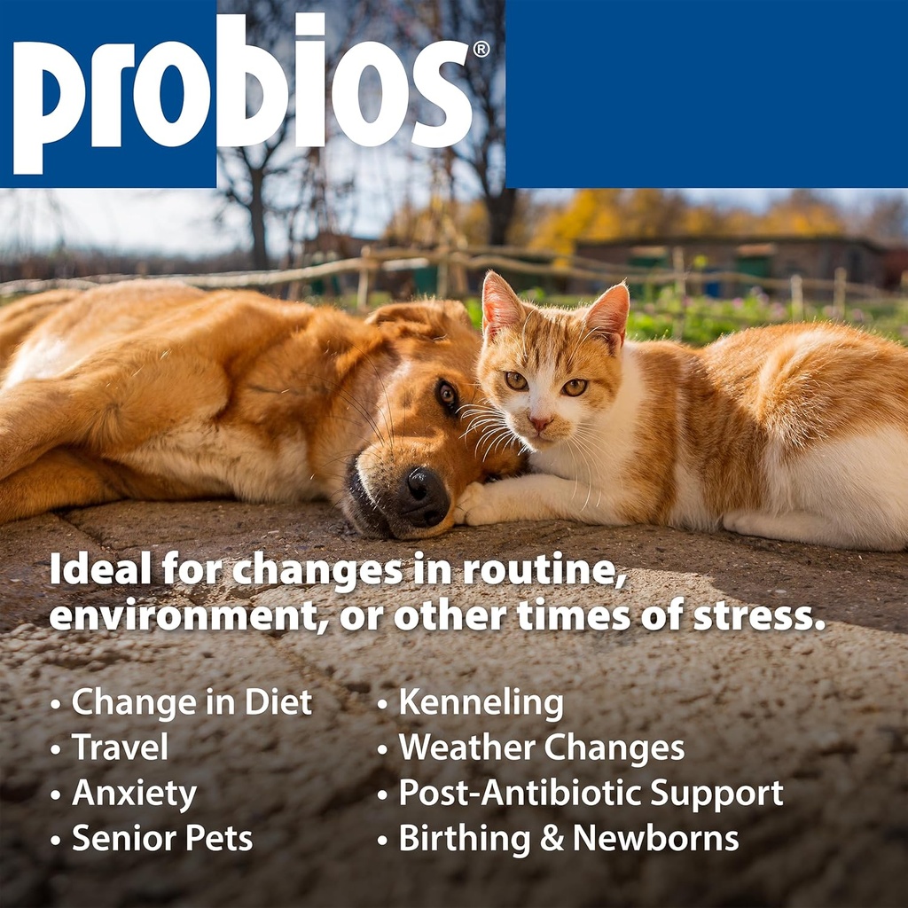 probios-for-dogs-soft-chews-probiotics-f-6.jpg