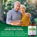 zazzee-extra-strength-citicoline-500-mg--2.jpg