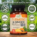 turmeric-curcumin-supplement-2600mg---wi-4.jpg