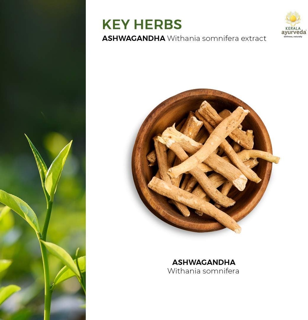 kerala-ayurveda-ashwagandha-capsule-for--4.jpg
