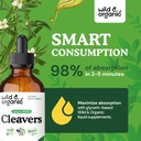 wild-organic-cleavers-tincture---herbal--4.jpg