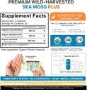 power-by-naturals-seamoss-plus---usda-or-2.jpg