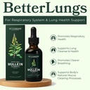 betterlungs-mullein-leaf-extract-and-bla-3.jpg