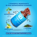 ashwagandha-vitamin-d-gummies-dietary-su-2.jpg