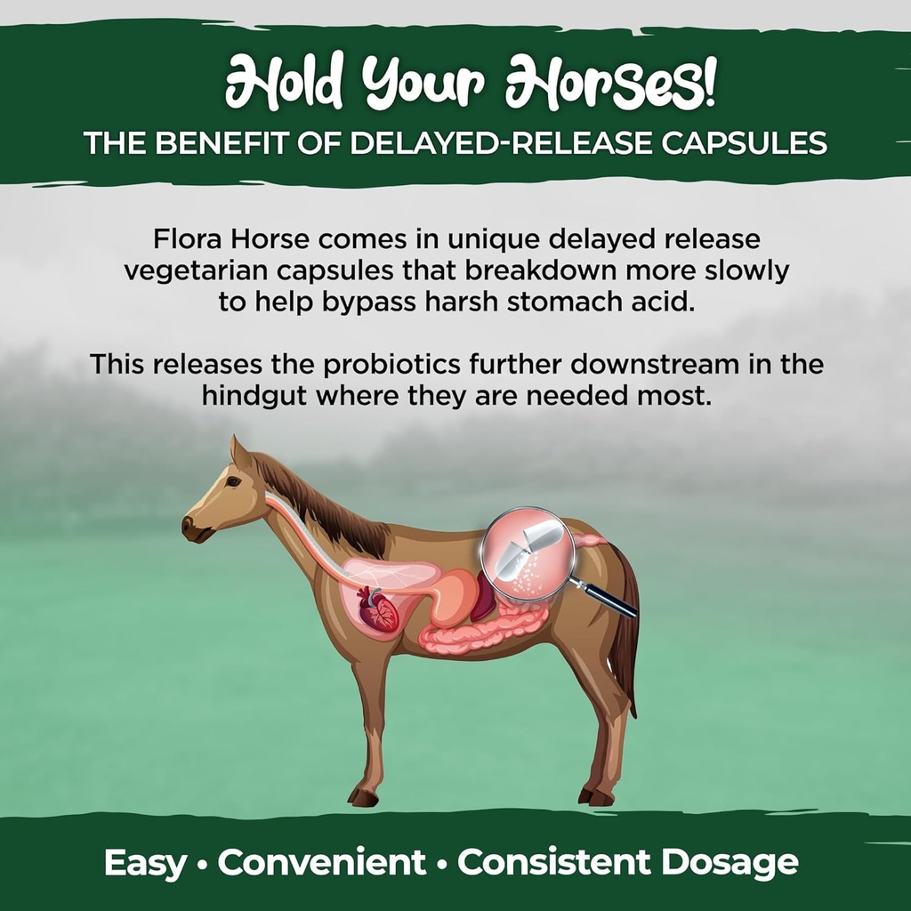 vital-planet---flora-horse-probiotic-hig-4.jpg