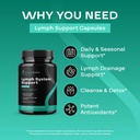 herbal-lymph-system-support-supplement---3.jpg