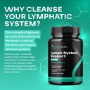 herbal-lymph-system-support-supplement---5.jpg