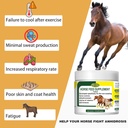horse-non-sweating-treatment-promoting-h-2.jpg
