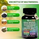 sea-moss-capsules-ginger-60-capsules-iri-4.jpg