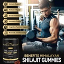 himalayan-shilajit-gummies-gold-grade-sh-6.jpg