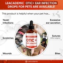 dog-ear-infection-treatment-otic-ear-inf-2.jpg