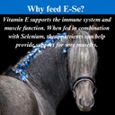 su-per-e-se-horses-antioxidant-supplemen-5.jpg