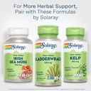 solaray-bladderwrack-capsules-580-mg---n-6.jpg