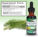 natures-answer-horsetail-extract-alcohol-3.jpg