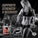 pmd-sports-amplify-xl-premium-whey-prote-4.jpg