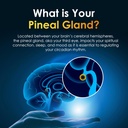 pineal-guard-x-gland-decalcification-and-6.jpg