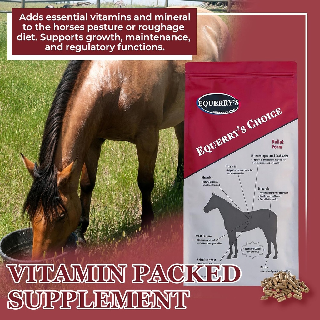 equerrys-choice-horse-pellets---complete-3.jpg