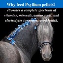 su-per-psyllium-pellets-equine-supplemen-3.jpg