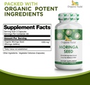 organic-veda-moringa-seed-capsules---100-2.jpg