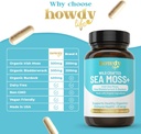 organic-irish-sea-moss-capsules---sea-mo-5.jpg