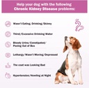 kidney-support-supplement-for-dogs---sup-2.jpg