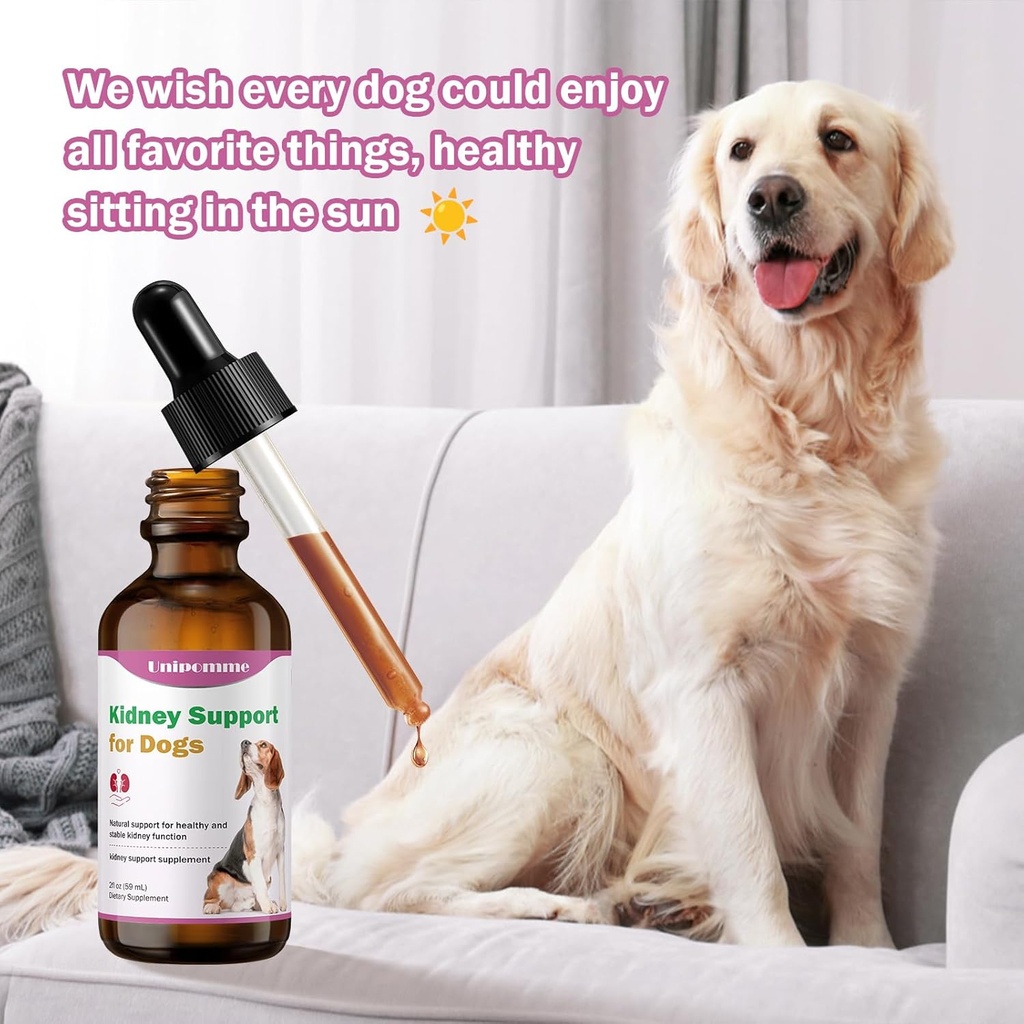kidney-support-supplement-for-dogs---sup-6.jpg