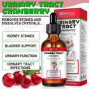 urinary-tract-for-cats-natural-cat-urina-2.jpg