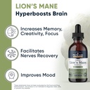 lions-mane-mushroom-supplement-liquid-dr-2.jpg