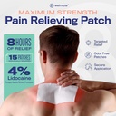 welmate-pain-patches-maximum-strength-li-2.jpg