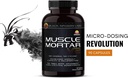 muscle-mortar-creatine-hcl-increase-stre-3.jpg